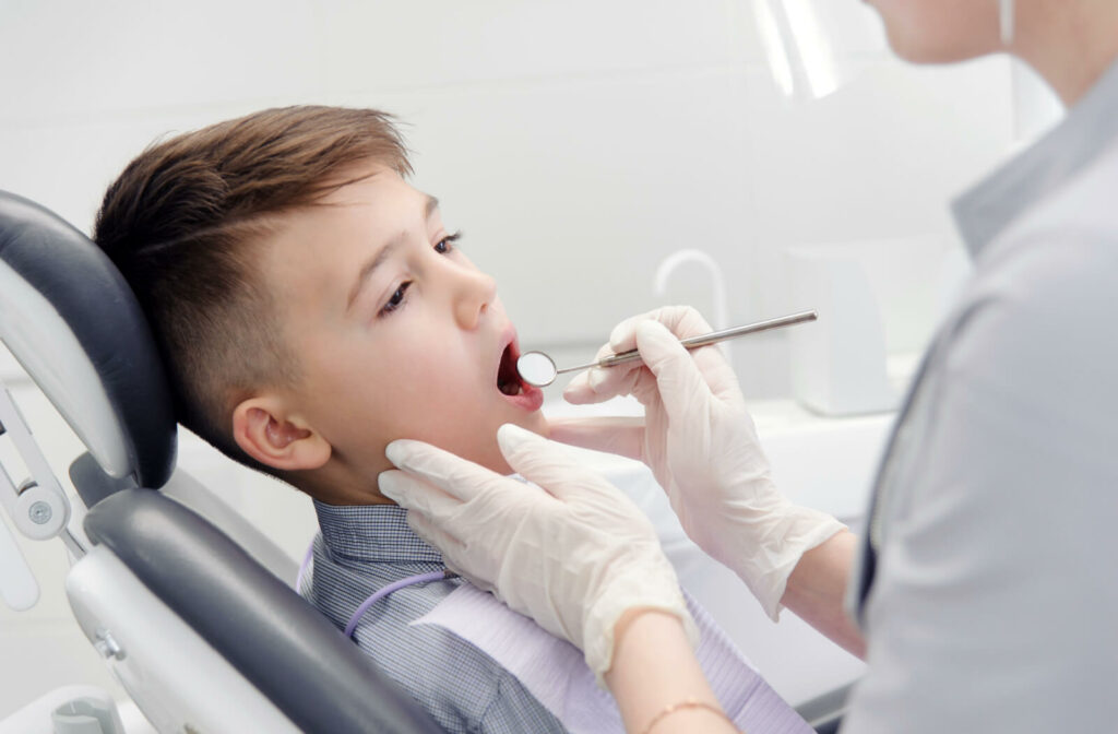 A dentist checks their young patient's teeth using a dental mirror.